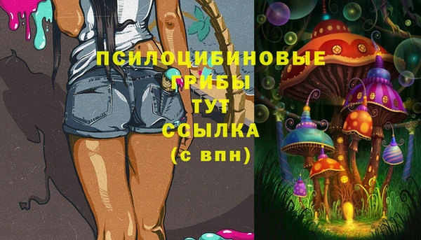 эйфоретик Алексин