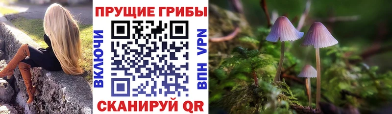 Галлюциногенные грибы Magic Shrooms Нижнеудинск