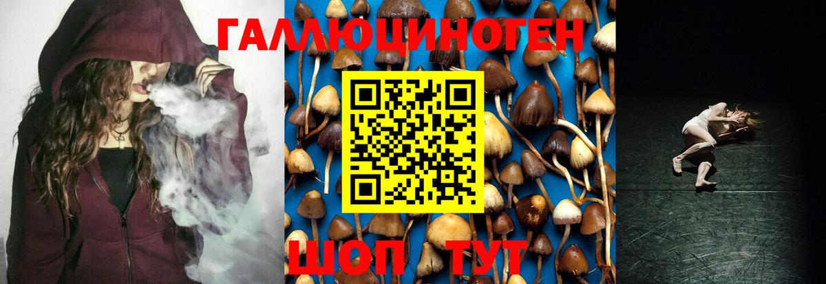 Псилоцибиновые грибы Magic Shrooms  Вход с VPN  Нижнеудинск 